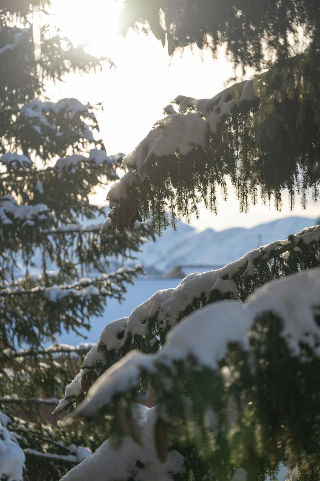 Chalet Alpe D'Huez 1850-Sea And Mountain Pleasure Avec 2 Appartements- 1 Appartement 3 Chambres 8 Couchages - 3 Salles D'Eau Et 1 Appartement 5 Chambres 12 Couchages 5 Salles D'Eau - Jacuzzi Et Sauna -Pieds Des Pistes Et Centre Eksteriør bilde