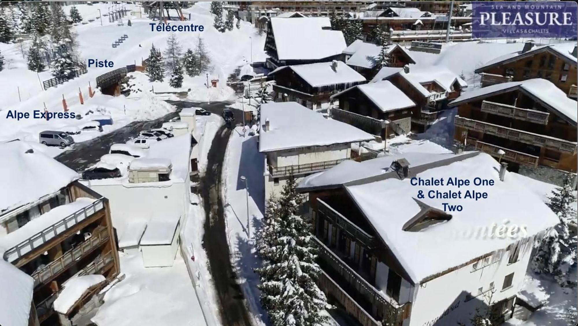 Chalet Alpe D'Huez 1850-Sea And Mountain Pleasure Avec 2 Appartements- 1 Appartement 3 Chambres 8 Couchages - 3 Salles D'Eau Et 1 Appartement 5 Chambres 12 Couchages 5 Salles D'Eau - Jacuzzi Et Sauna -Pieds Des Pistes Et Centre Eksteriør bilde